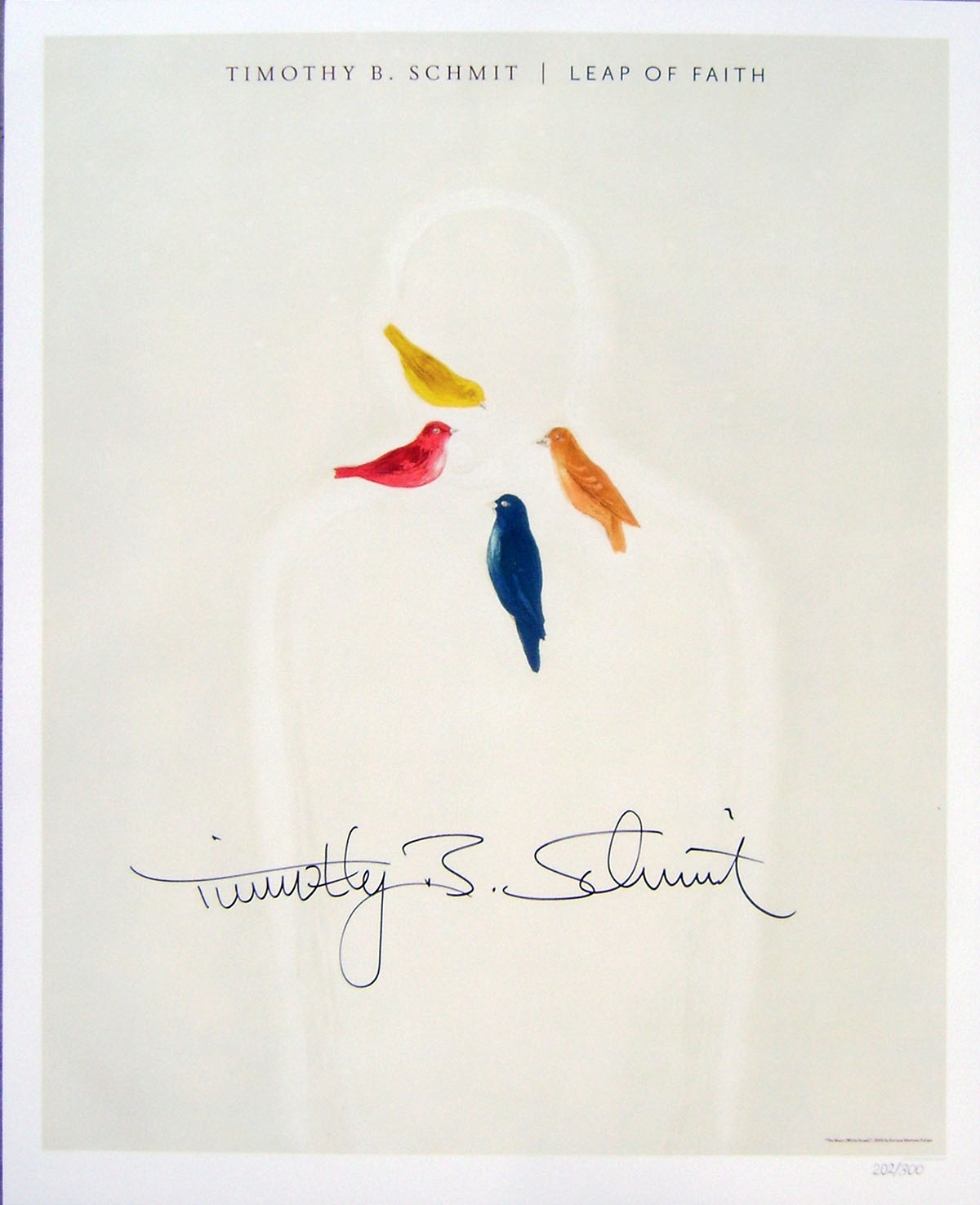 Timothy B Schmit - Poster - Leap of Faith #1 Timothy B Schmit - Poster - Leap of Faith #1